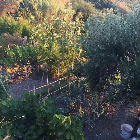 Apartment Imieinonni Ponza